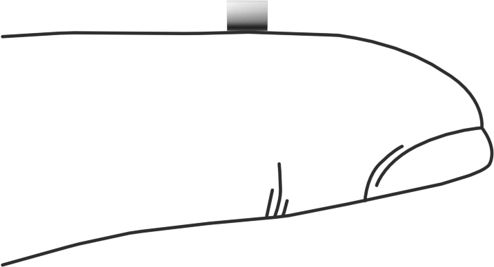 Asetal Dübeller, 3/32" Çap, 1/8" Uzunluk