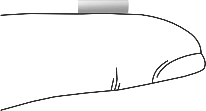 Asetal Dübeller, 3/32" Çap, 3/8" Uzunluk