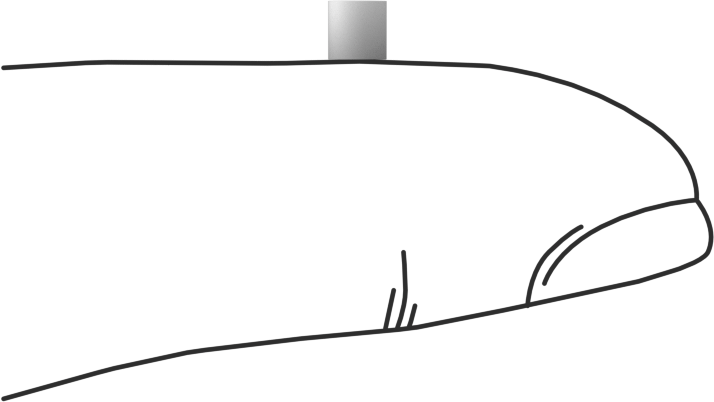 Asetal Dübeller, 1/8" Çap, 1/8" Uzunluk