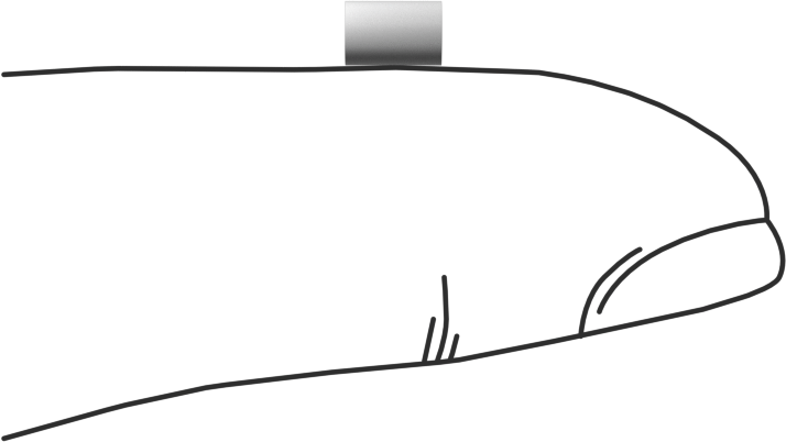 Asetal Dübeller, 1/8" Çap, 3/16" Uzunluk