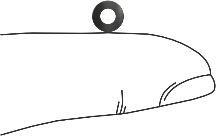 Kavisli Disk Yaylar, 3/32" Mil Çapı için, 0.11" ID, 0.225" OD, 0,004 inç Kalınlık