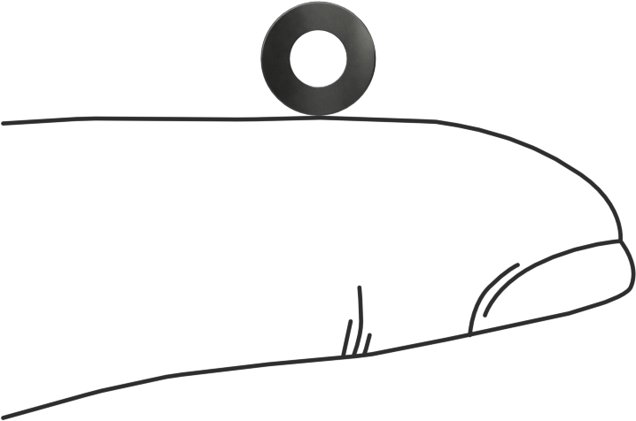 Kavisli Disk Yaylar, 1/8" Mil Çapı için, 0.138" ID, 0.277" OD, 0,005" Kalınlık