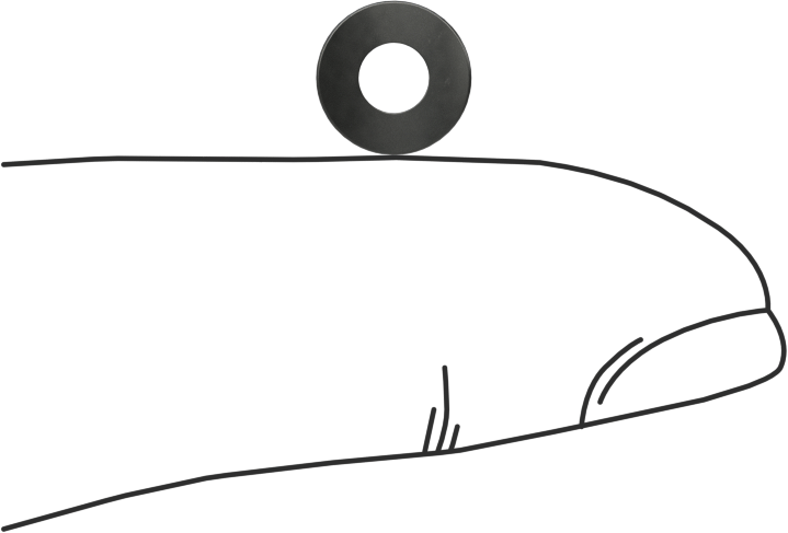 Kavisli Disk Yaylar, 1/8" Mil Çapı için, 0.138" ID, 0.302" OD, 0,008" Kalınlık