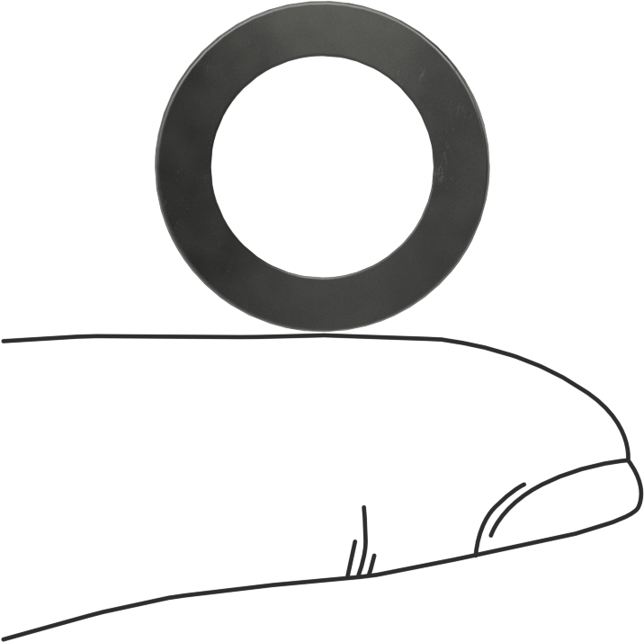 Kavisli Disk Yaylar, 1/2" Mil Çapı için, 0.531" ID, 0.795" OD, 0,0170" Kalınlık