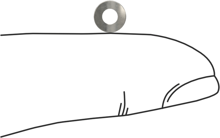 Korozyona Dayanıklı Kavisli Disk Yaylar, 3/32" Mil Çapı için, 0.110" ID, 0.225" OD, 0,0040 inç Kalınlık