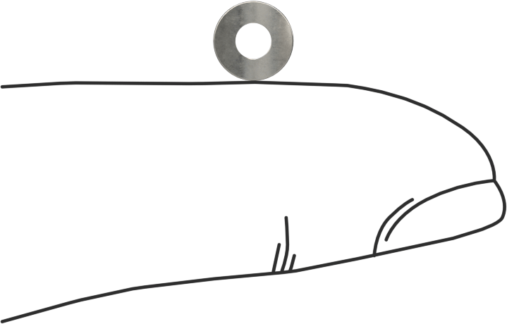 Korozyona Dayanıklı Kavisli Disk Yaylar, 3/32" Mil Çapı için, 0.110" ID, 0.242" OD, 0,0050 inç Kalınlık