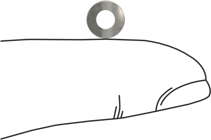 Korozyona Dayanıklı Kavisli Disk Yaylar, 1/8" Mil Çapı için, 0.138" ID, 0.277" OD, 0,0050 inç Kalınlık