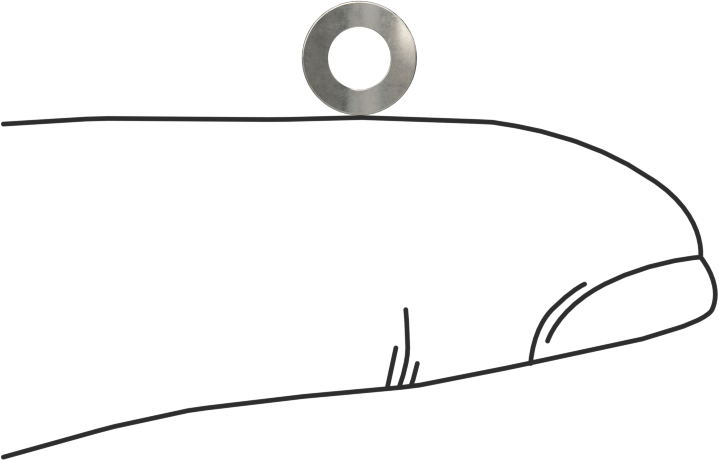 Korozyona Dayanıklı Kavisli Disk Yaylar, 1/8" Mil Çapı için, 0.135" ID, 0.245" OD, 0,0040 inç Kalınlık