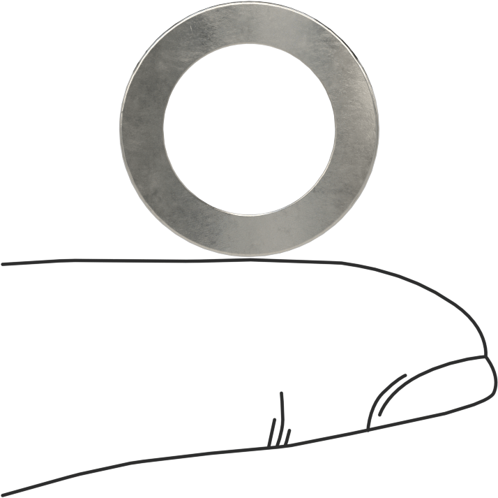 Korozyona Dayanıklı Kavisli Disk Yaylar, 1/2" Mil Çapı için, 0.531" ID, 0.795" OD, 0,0113 inç Kalınlık