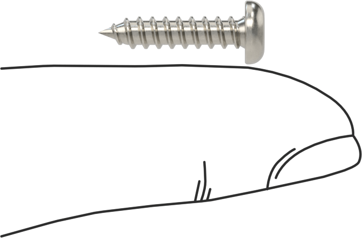Sac Metal için Kare Tahrikli Yuvarlak Başlı Vidalar, Süper Korozyona Dayanıklı 316 Paslanmaz Çelik, Numara 6 Boyut, 5/8" Uzunluk