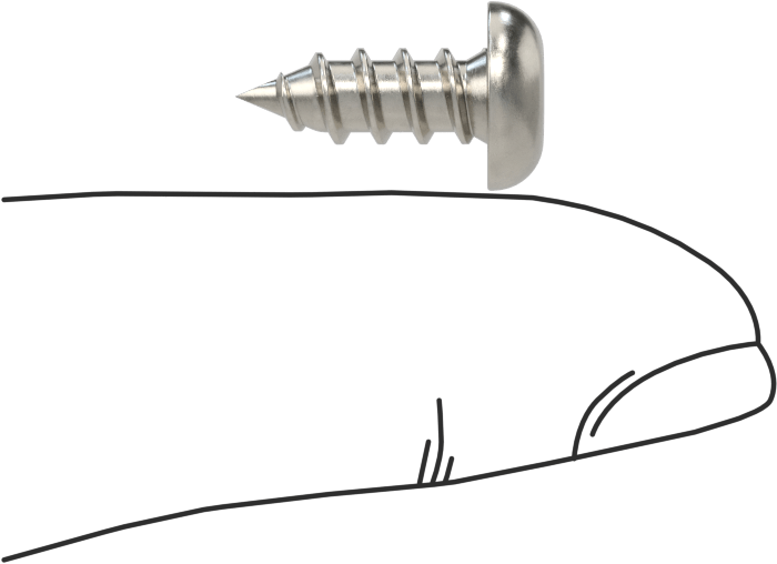 Sac Metal için Kare Tahrikli Yuvarlak Başlı Vidalar, Süper Korozyona Dayanıklı 316 Paslanmaz Çelik, 10 Numaralı Boyut, 1/2" Uzunluk