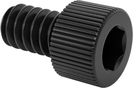 Naylon Soket Başlı Vidalar, 4-40 Diş Boyutu, 3/16" Uzunluk