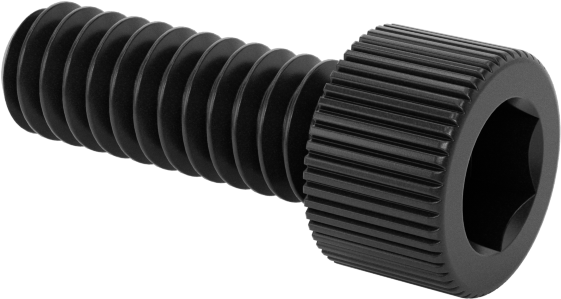 Naylon Soket Başlı Vidalar, 2-56 Diş Boyutu, 1/4" Uzunluk