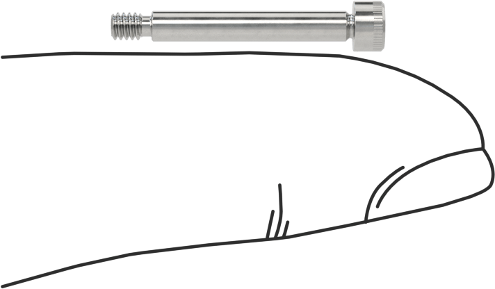 316 Paslanmaz Çelik Omuzlu Vida, 3/32" Omuz Çapı, 5/8" Omuz Uzunluğu, 2-56 Diş Boyutu