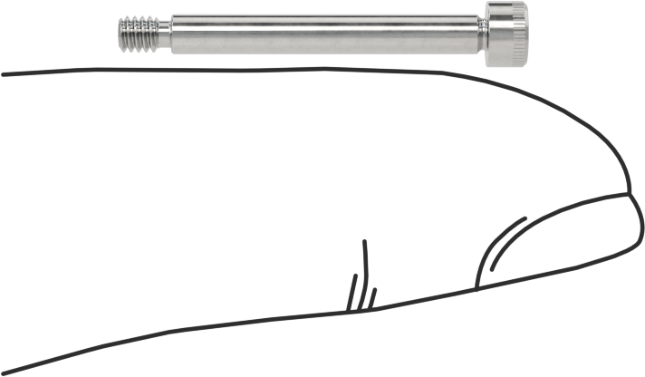 316 Paslanmaz Çelik Omuzlu Vida, 3/32" Omuz Çapı, 3/4" Omuz Uzunluğu, 2-56 Diş Boyutu