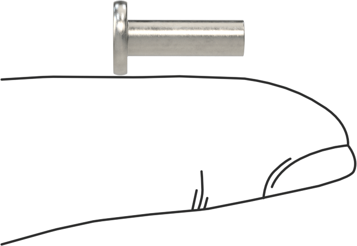 18-8 Paslanmaz Çelik Düz Başlı Masif Perçinler, 5/32" Çap, 0,422" Maksimum Malzeme Kalınlığı için