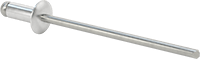 97517A105