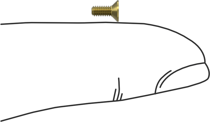 Pirinç Altıgen Soketli Düz Başlı Vida, M2 x 0,4 mm Diş Boyutu, 5 mm Uzunluk