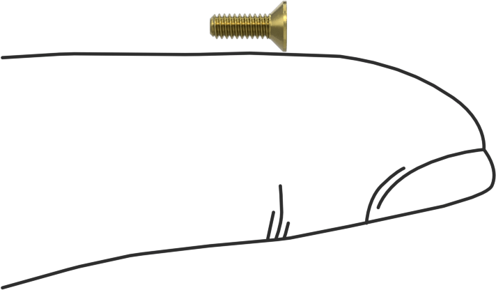 Pirinç Altıgen Soketli Düz Başlı Vida, M2 x 0,4 mm Diş Boyutu, 6 mm Uzunluk