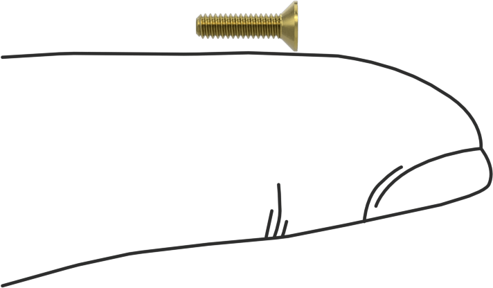 Pirinç Altıgen Soketli Düz Başlı Vida, M2 x 0,4 mm Diş Boyutu, 8 mm Uzunluk