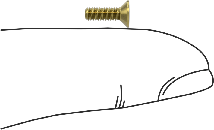 Pirinç Altıgen Soketli Düz Başlı Vida, M2,5 x 0,45 mm Diş Boyutu, 8 mm Uzunluk