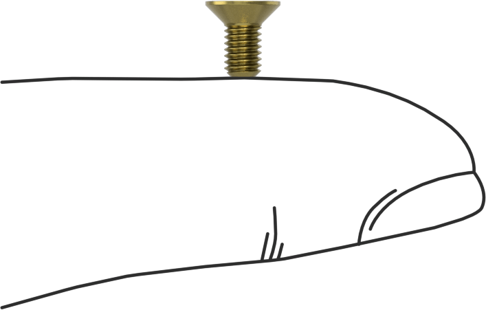 Pirinç Altıgen Soketli Düz Başlı Vida, M3 x 0,5 mm Diş Boyutu, 6 mm Uzunluk