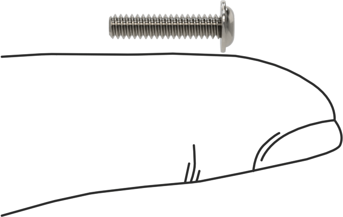 18-8 Paslanmaz Çelik Flanşlı Düğme Başlı Vida, 4-40 Diş, 1/2" Uzunluk