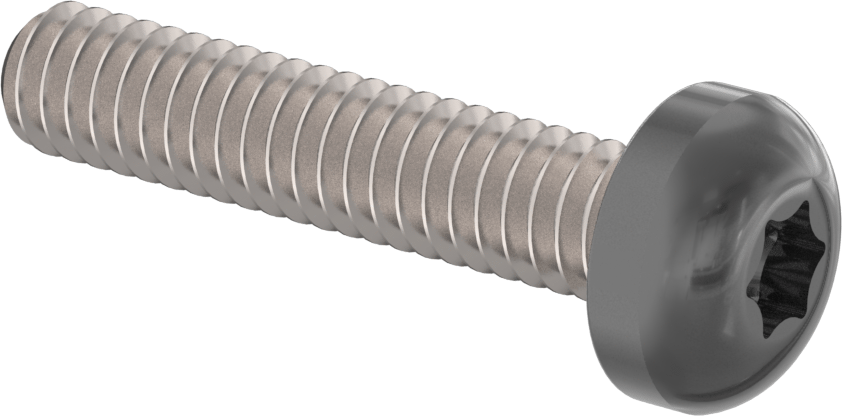 Boyalı Çelik Silindir Başlı Torx Vidaları, Siyah Başlık ile, M2 Diş, 10 mm Uzunluk