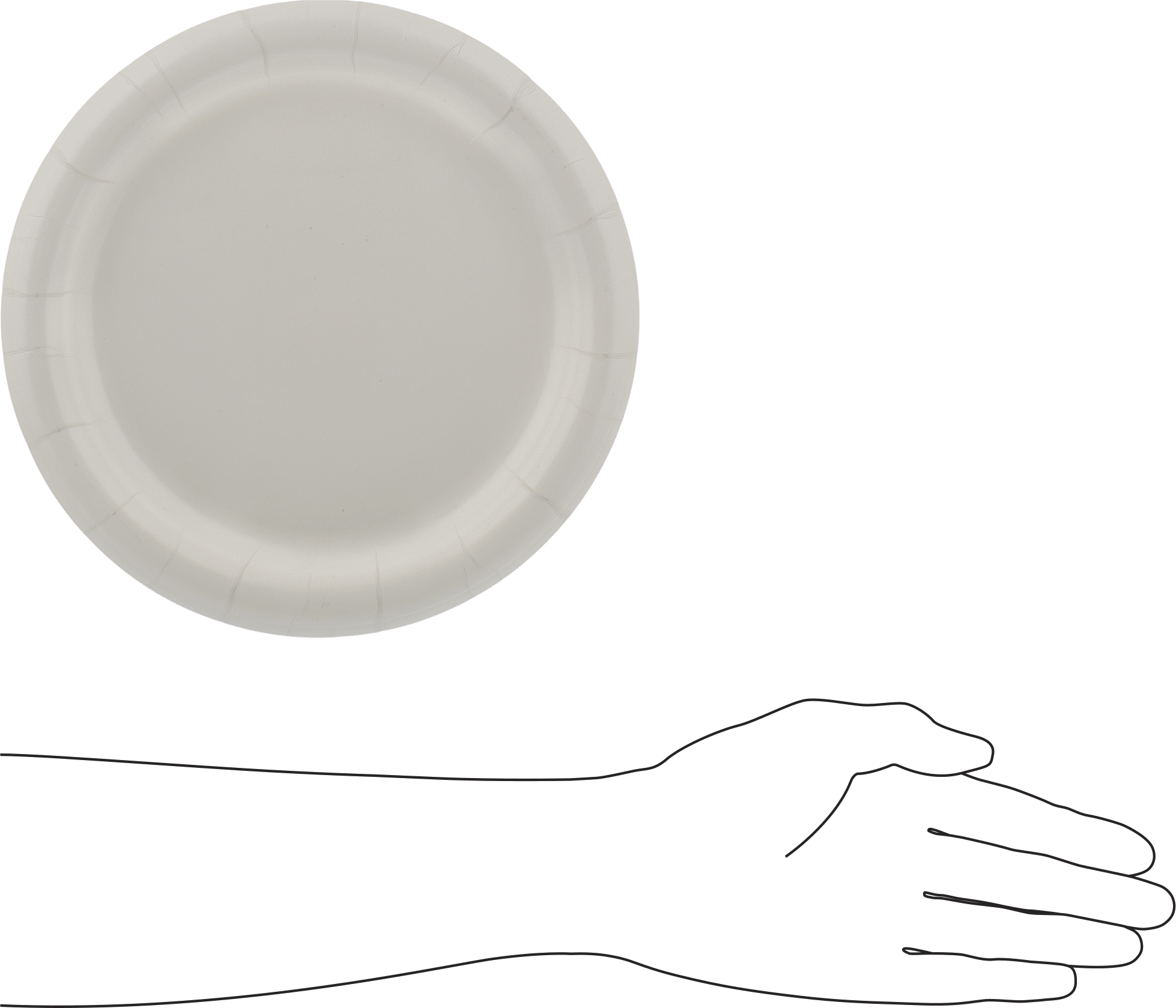Disposable Food Service Plates, Paper