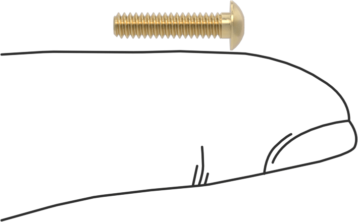 Pirinç Düğme Başlı Altıgen Soketli Vida, 4-40 Diş Boyutu, 1/2" Uzunluk