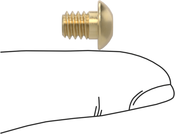 Pirinç Düğme Başlı Altıgen Soketli Vida, 1/4"-20 Diş Boyutu, 5/16" Uzunluk