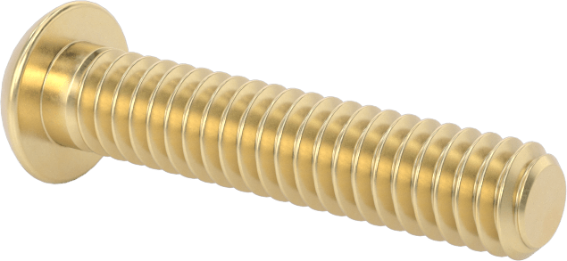 Pirinç Düğme Başlı Altıgen Soketli Vida, 1/4"-20 Diş Boyutu, 1-1/4" Uzunluk