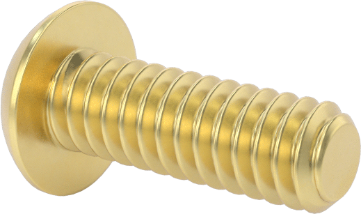 Pirinç Düğme Başlı Altıgen Soketli Vida, 2-56 Diş Boyutu, 1/4" Uzunluk