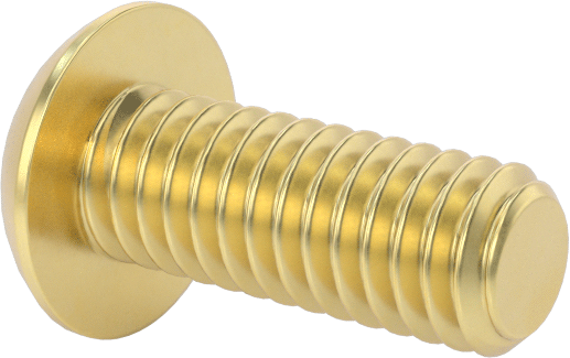 Pirinç Düğme Başlı Altıgen Soketli Vida, 3-56 Diş Boyutu, 1/4" Uzunluk