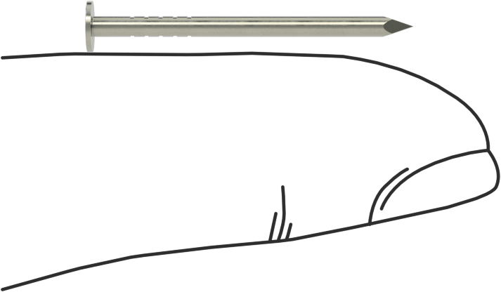Kolay Çakılan Son İşlem Çivileri, 1" Uzunluk, 16 Gauge