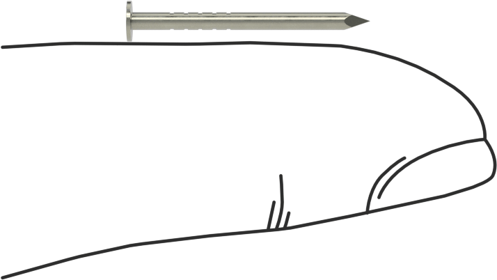 Kolay Çakılan Son İşlem Çivileri, 3/4" Uzunluk, 17 Gauge