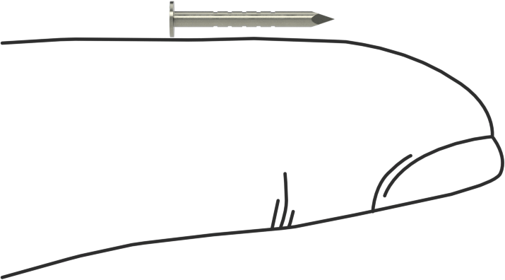 Kolay Çakılan Son İşlem Çivileri, 1/2" Uzunluk, 18 Gauge