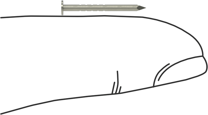 Kolay Çakılan Son İşlem Çivileri, 5/8" Uzunluk, 18 Gauge