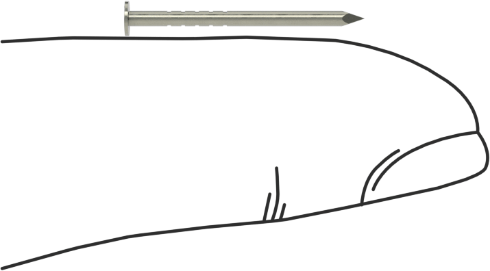 Kolay Çakılan Son İşlem Çivileri, 3/4" Uzunluk, 18 Gauge