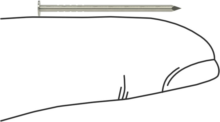 Kolay Çakılan Son İşlem Çivileri, 1" Uzunluk, 18 Gauge