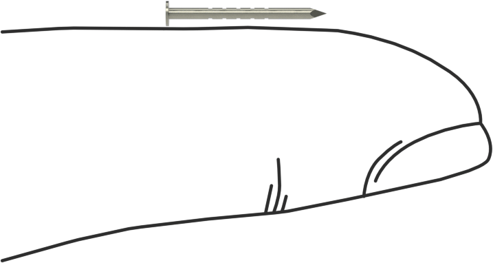 Kolay Çakılan Son İşlem Çivileri, 1/2" Uzunluk, 20 Gauge