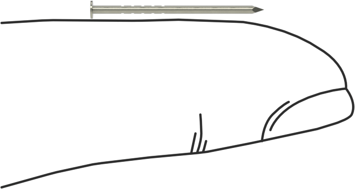 Kolay Çakılan Son İşlem Çivileri, 3/4" Uzunluk, 20 Gauge