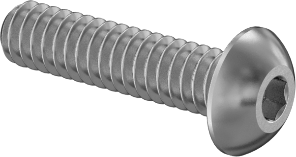 316 Paslanmaz Çelik Düğme Başlı Altıgen Soketli Vida, 0-80 Diş Boyutu, 1/4" Uzunluk