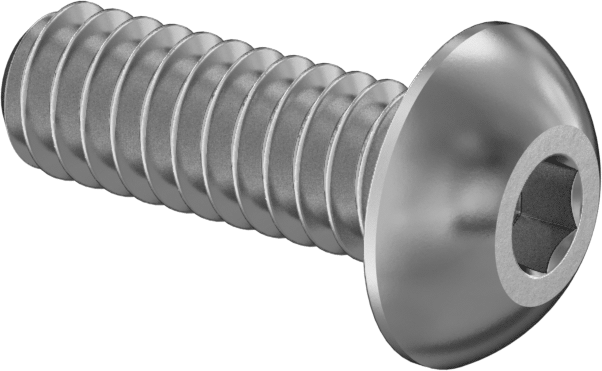 316 Paslanmaz Çelik Düğme Başlı Altıgen Soketli Vida, 2-56 Diş Boyutu, 1/4" Uzunluk