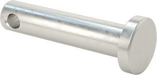 98306A103