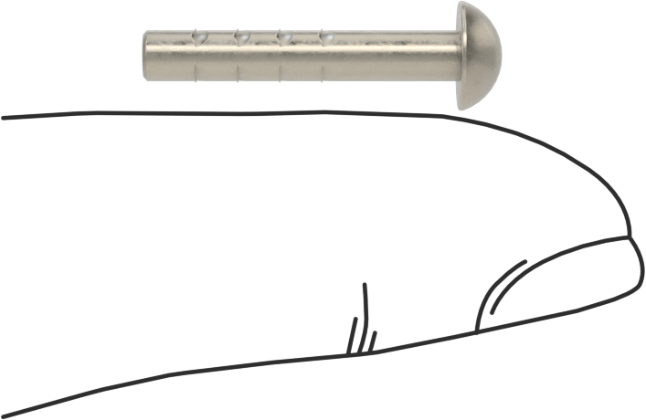Pim, Yuvarlak Başlı, Dikenli, 1/8" Çap, 3/4" Uzunluk