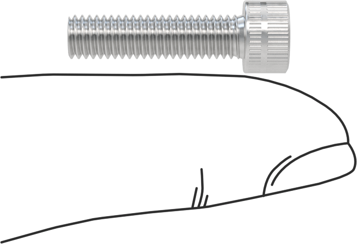 Alüminyum Soket Başlı Vida, 10-32 Diş Boyutu, 3/4" Uzunluk