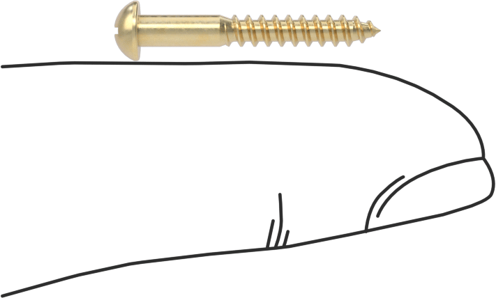 Pirinç Phillips Dekoratif Yuvarlak Başlı Vidalar, Ahşap için, 3 Boyutu, 3/4" Uzunluk