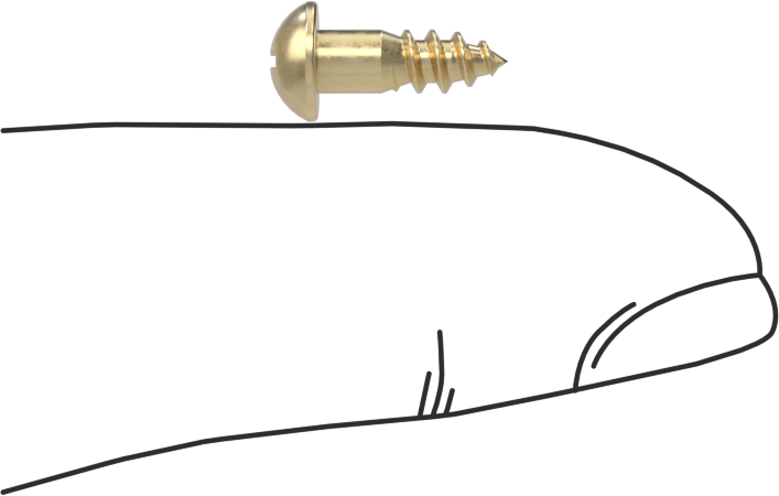 Pirinç Phillips Dekoratif Yuvarlak Başlı Vidalar, Ahşap için, 5 Numara, 3/8" Uzunluk