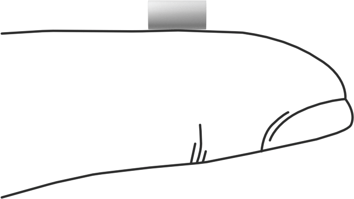 PTFE Pim Pimleri, 1/8" Çap, 1/4" Uzunluk